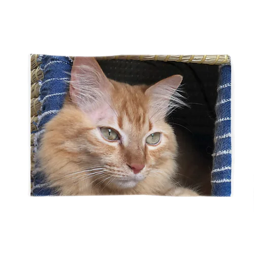 ちぐらでくつろぐチビエル Blanket