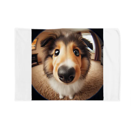 collie Blanket