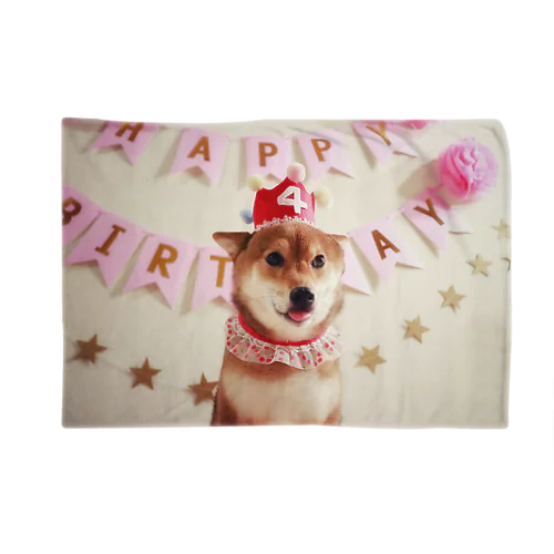 柴犬日向誕生日 담요