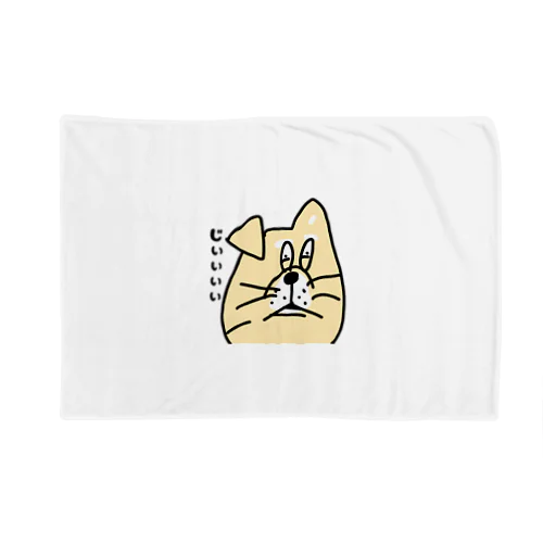 ビビりな番犬くん Blanket
