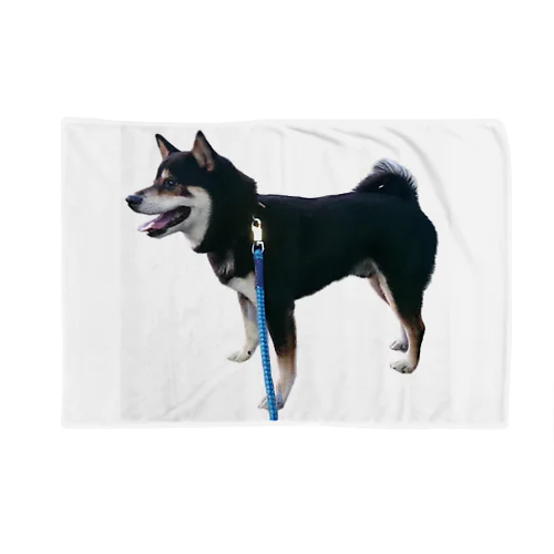 黒芝犬 ジャック Blanket