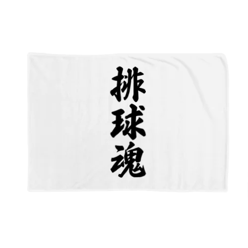 排球魂 Blanket