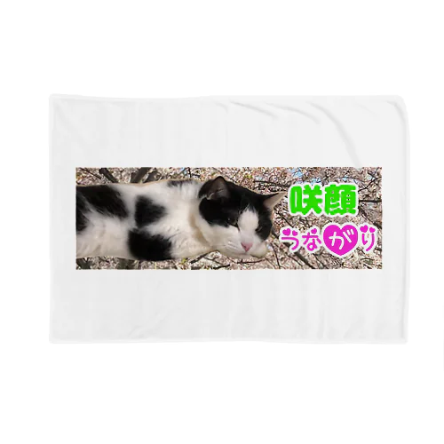 咲顔ちゃこ Blanket