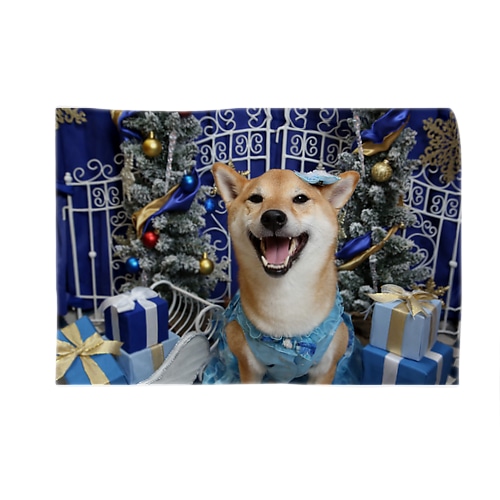 ロコブランケット Blanket