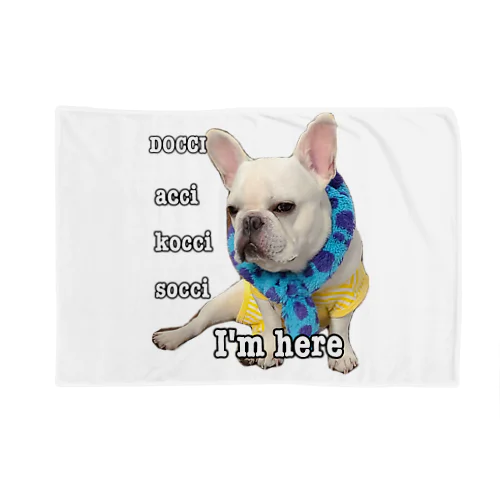 パロスペシャル Blanket