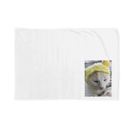 ぶちゃかわ猫 Blanket