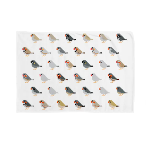 キンカチョウ大集合 Blanket