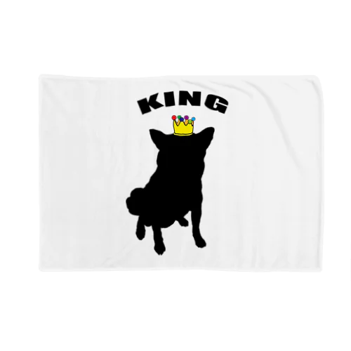 KINGパイセン Blanket