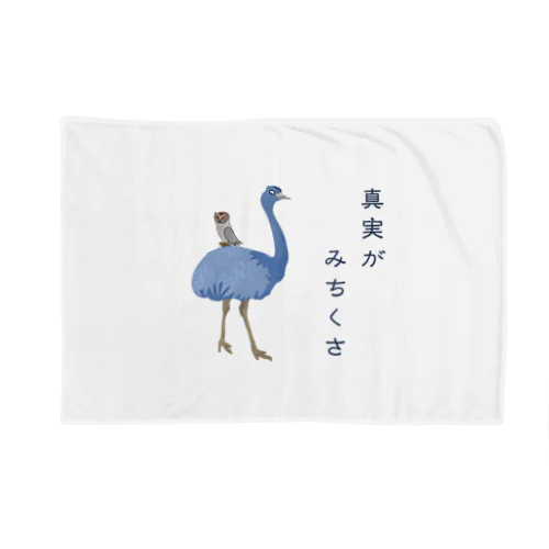 真実がみちくさ Blanket