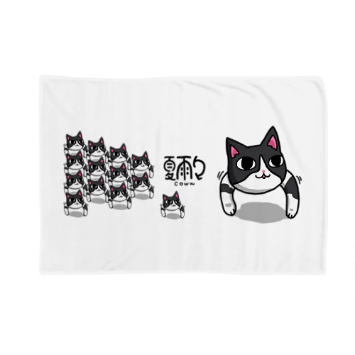 なんだこの猫 Blanket