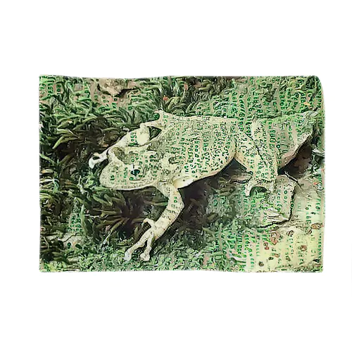 Fantastic Frog -Paper Money Version- Blanket
