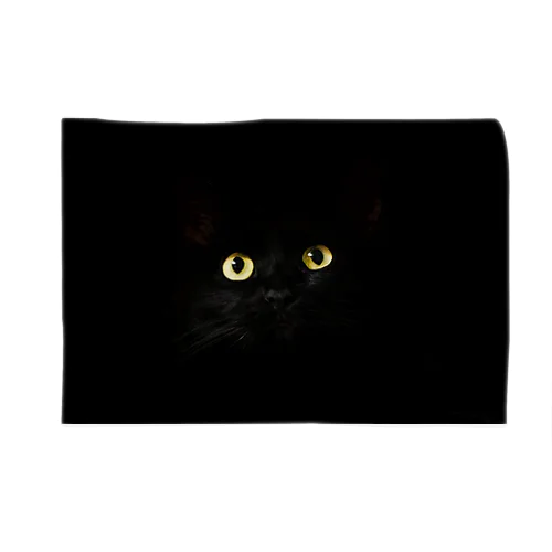 Black cat　黒猫　 ブランケット