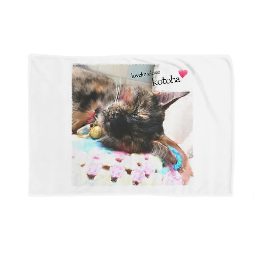 保護猫チャリティ🐾 Blanket