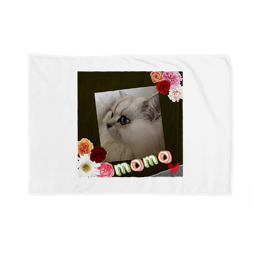 momo Blanket