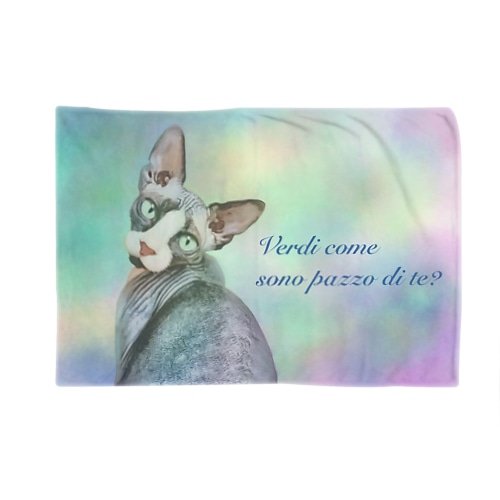 Vedi come sono pazzo di te?スフィンクス猫 Blanket