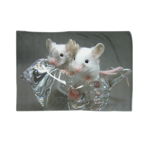 Little mice rides a glass bird Blanket