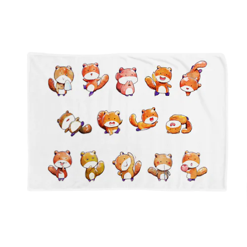 [ りすのくうざえもん×14 ] Blanket