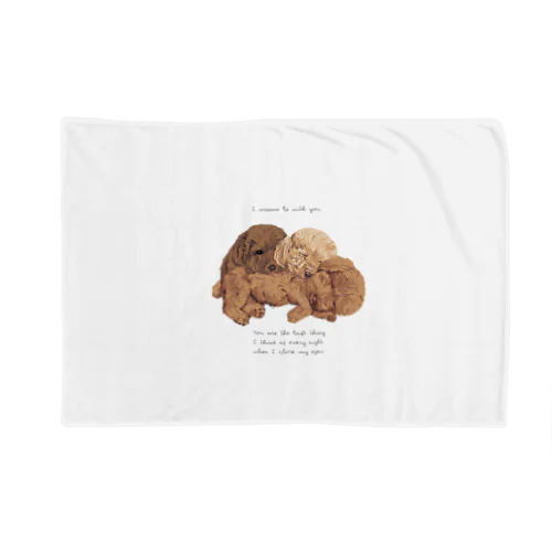 🐩puppy toypoodle Blanket