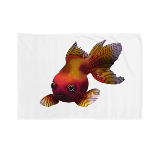 憎悪金魚 Blanket