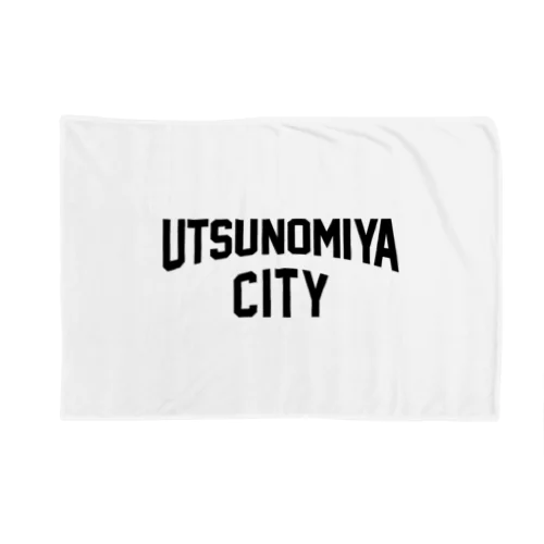 utsunomiya city　宇都宮ファッション　アイテム ブランケット