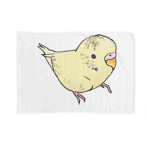 可愛いセキセイインコ　おすましちゃん【まめるりはことり】 Blanket