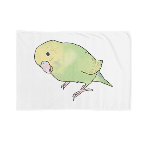 首傾げ　スパングルセキセイインコちゃん【まめるりはことり】 Blanket