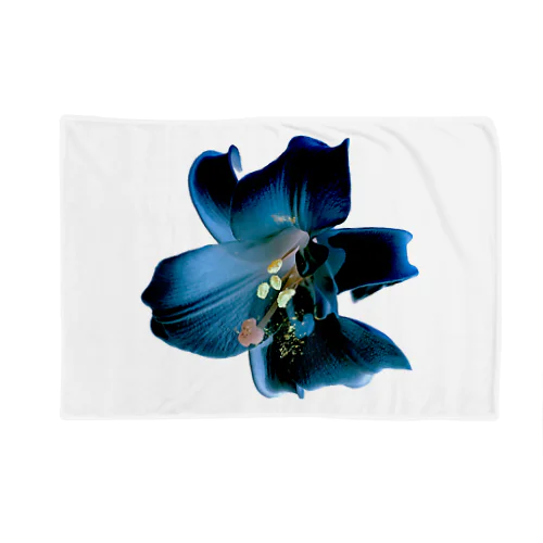 Lily (Denim Colour) Blanket