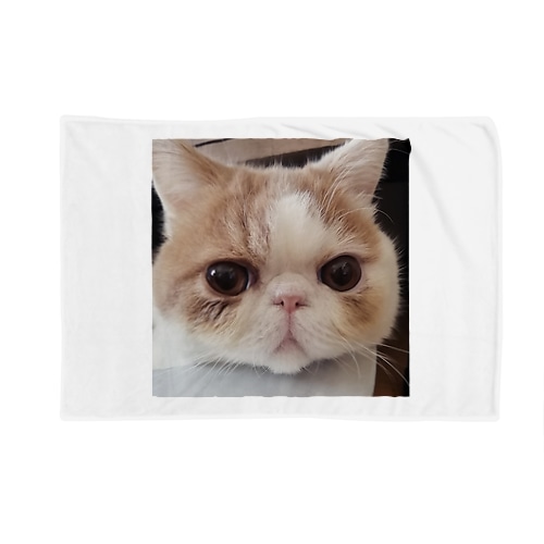 エキゾのアルくん Blanket