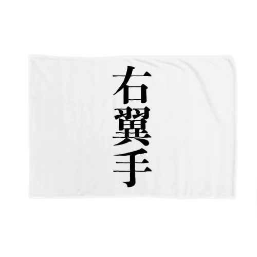 右翼手 Blanket