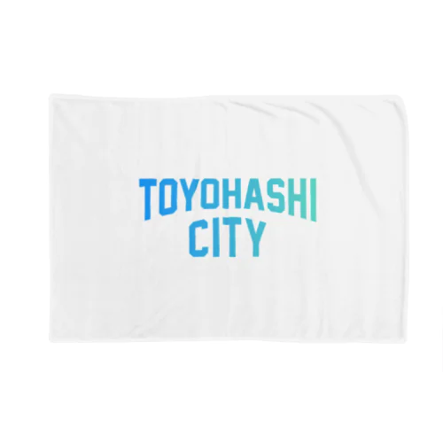 豊橋市 TOYOHASHI CITY Blanket