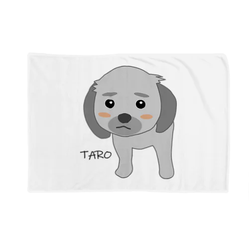 タロちゃん３ Blanket