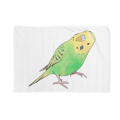 首傾げセキセイインコ　ピーちゃん【まめるりはことり】 Blanket