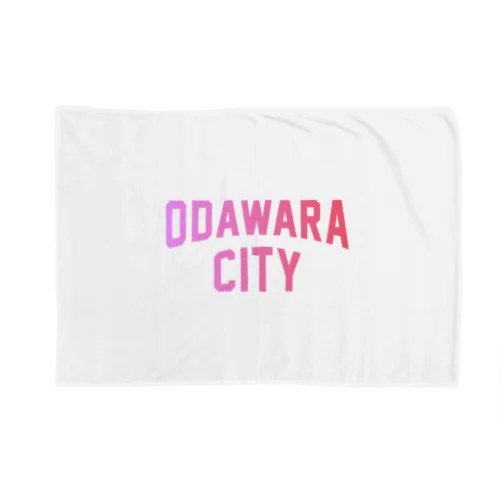 小田原市 ODAWARA CITY ブランケット