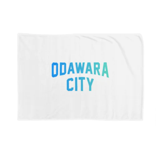 小田原市 ODAWARA CITY Blanket