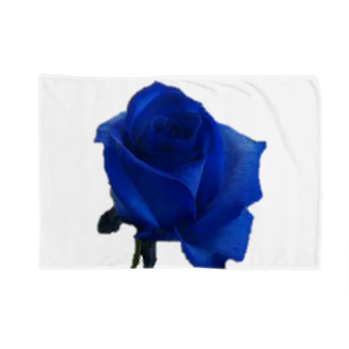 BLUEROSE Blanket