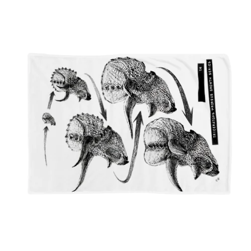 Triceratops prorsus growth series Blanket