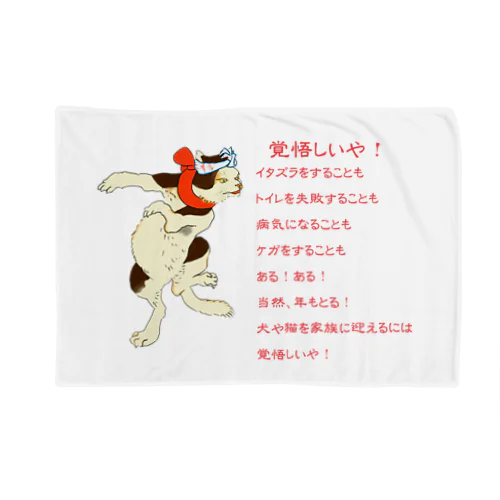 覚悟しいや！No.2 Blanket