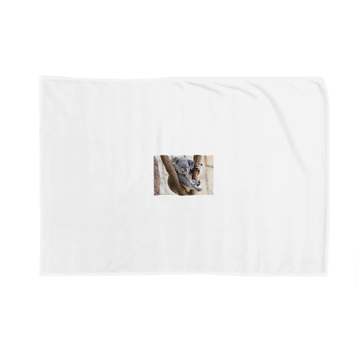 ぼーとしている　コアラ　 Blanket