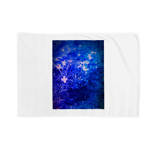 幸運の青い花💙💙💙 Blanket