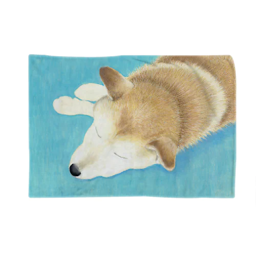 犬 Blanket