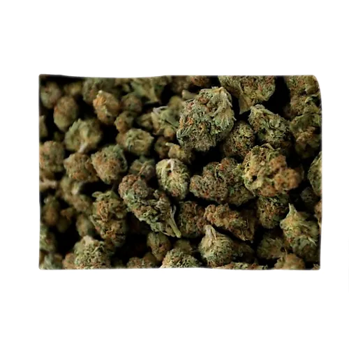 Medical Buds Blanket