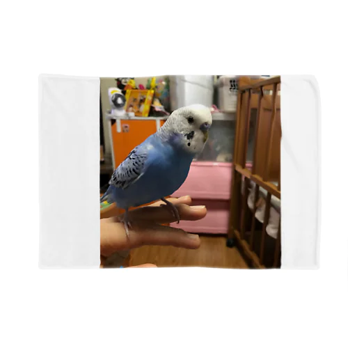 インコのトラ Blanket