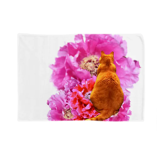 座れば芍薬猫 Blanket