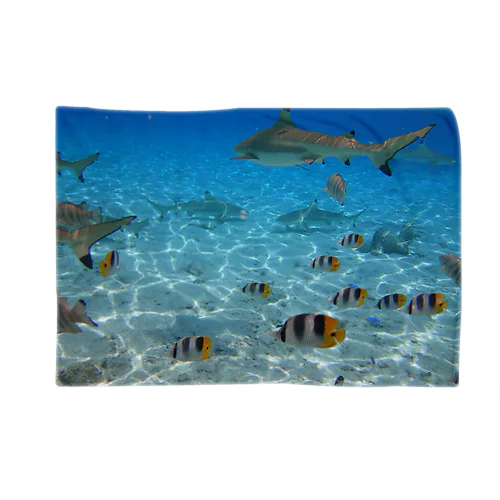 BoraBora Blanket