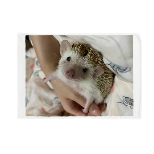 ママとしろっぷはずっと一緒 Blanket