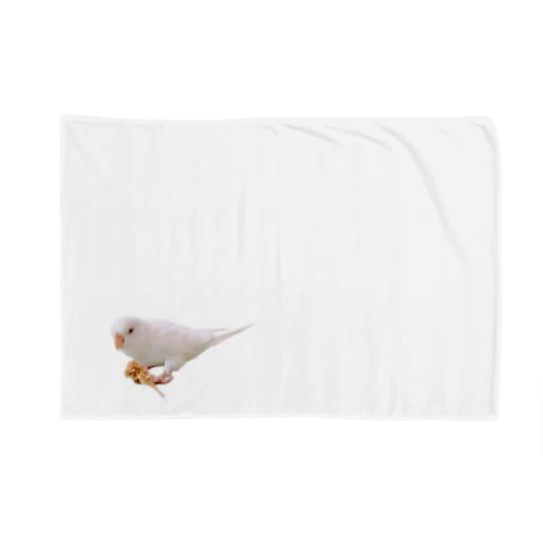 えりちゃん Blanket