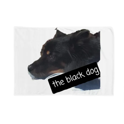 The black dog Blanket