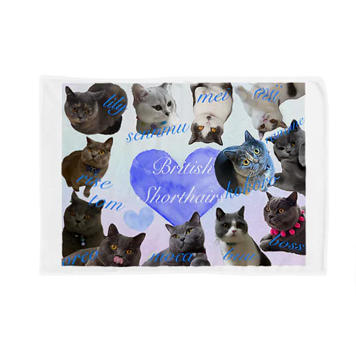 British Shorthairs Blanket