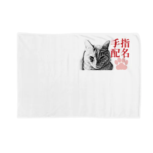 指名手配 | JOYFUL x JOYFUL DESIGNS 0aC Blanket