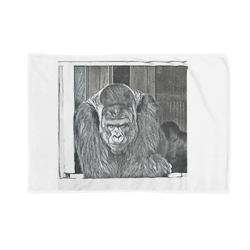 シャバー○ 🦍 Blanket